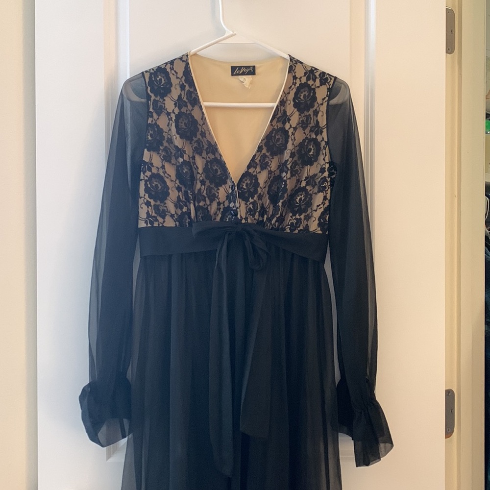 Absolutely Stunning Le Voy Sheer Dress/Nightgown Cover